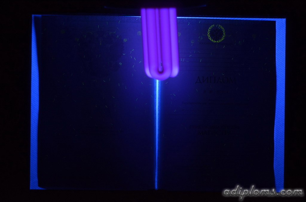Диплом магистра 2010-2013 Фото Диплом магистра 2010-2013 Фото
