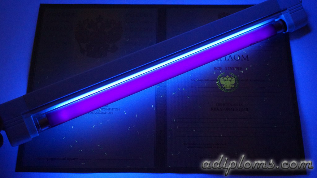 Диплом бакалавра 2004-2009 Фото Диплом бакалавра 2004-2009 Фото